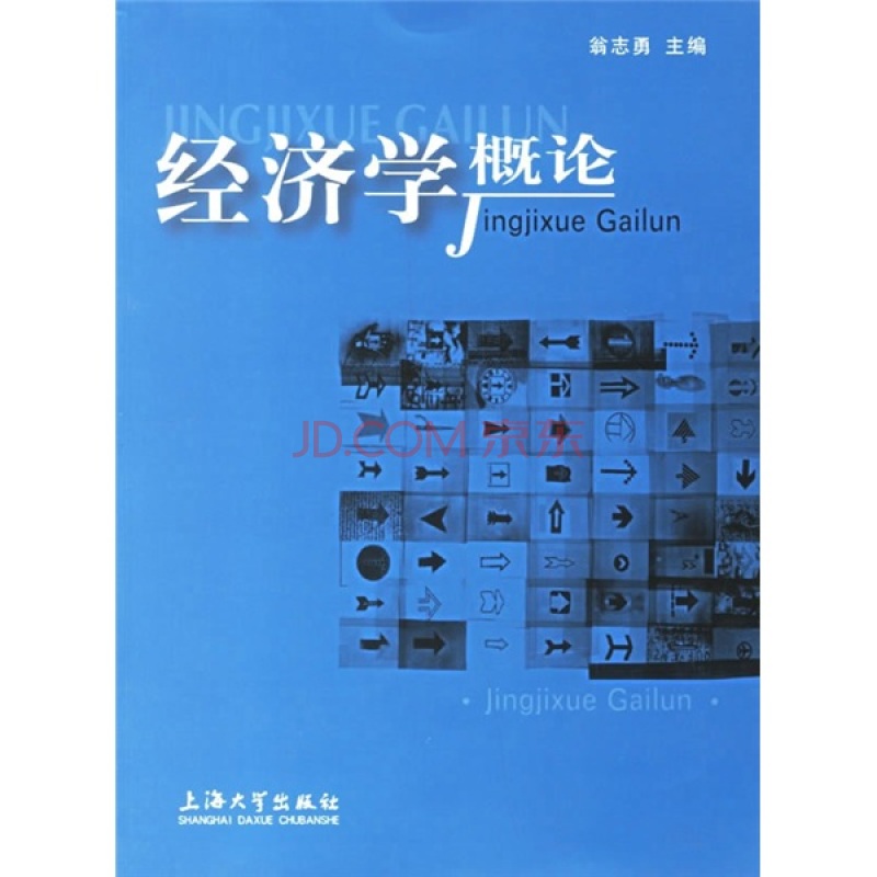 經濟學概論(復旦大學出版社圖書)