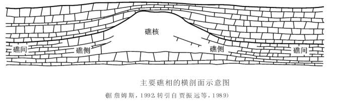 碳酸鹽岩沉積體系