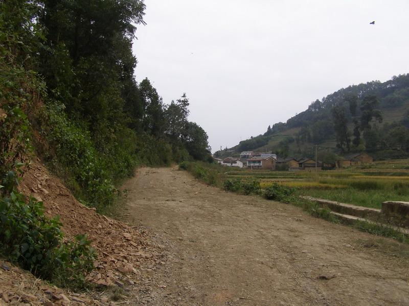 小阿章村公路