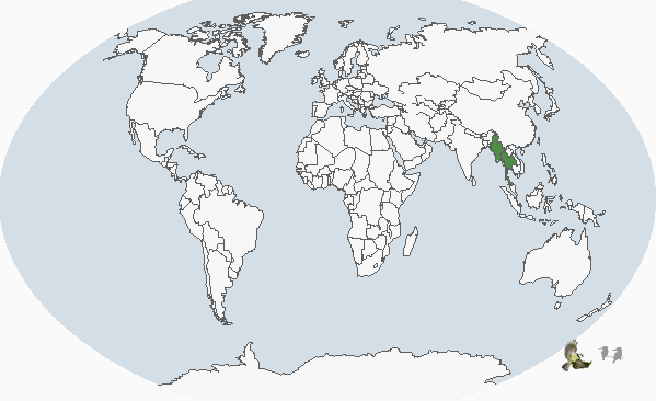 白喉犀鳥(分布圖)