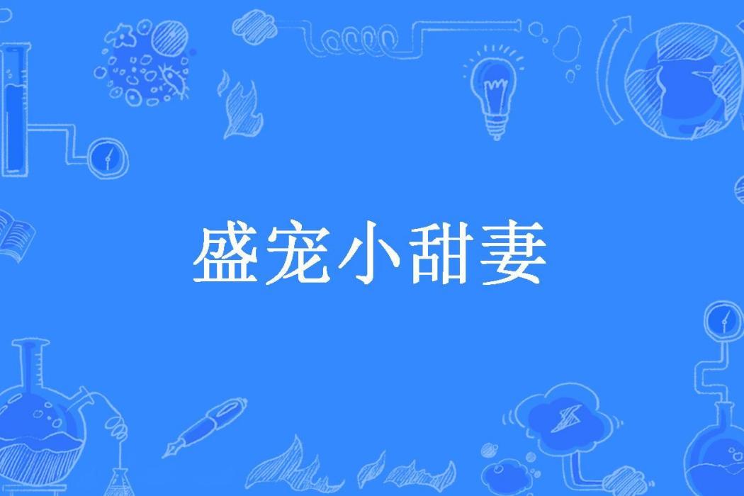 盛寵小甜妻(西小景所著小說)