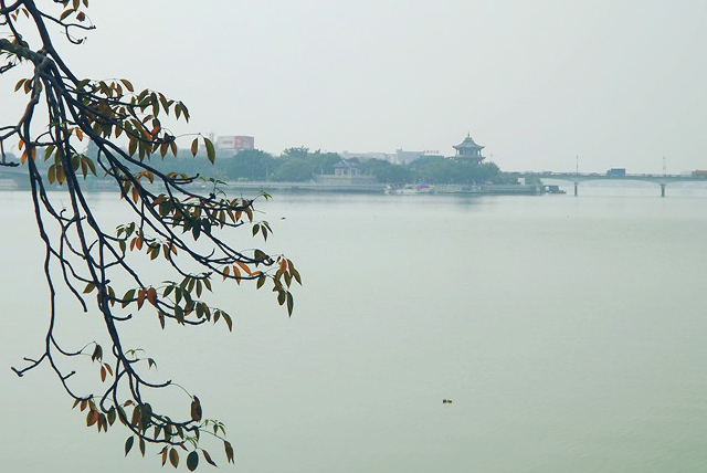 惡溪(浙江麗水)