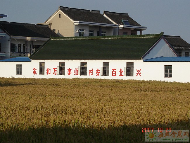 渡船橋村