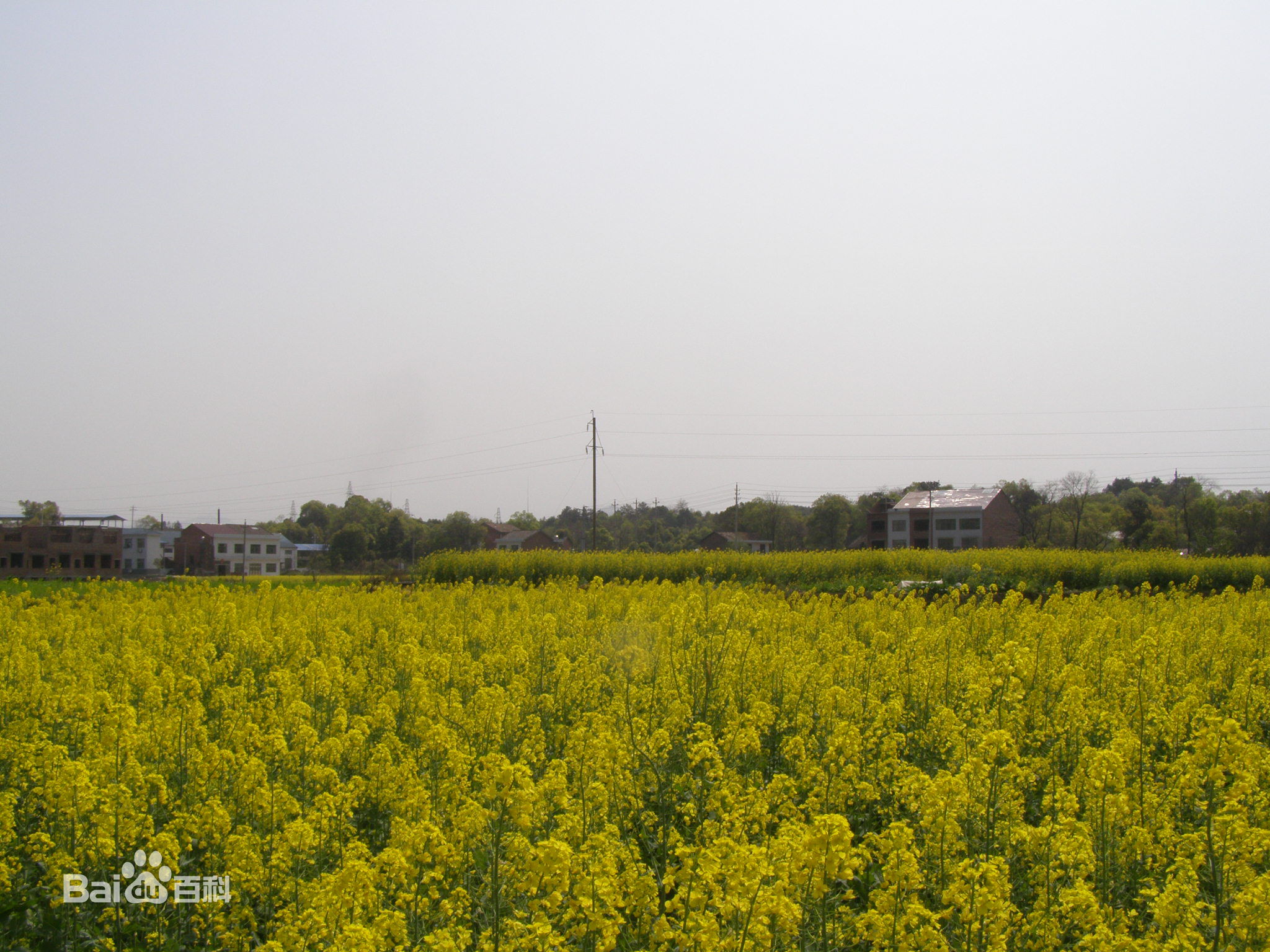 仙石村(湖南省醴陵市浦口鎮仙石村)