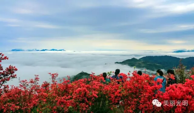 國際候鳥旅居組織