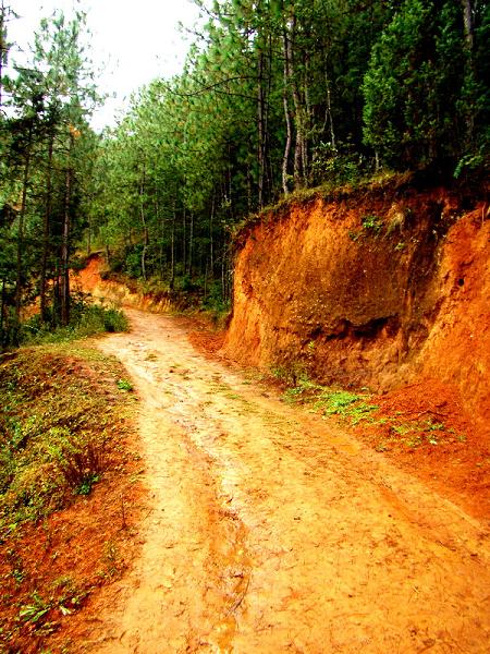 村間道路