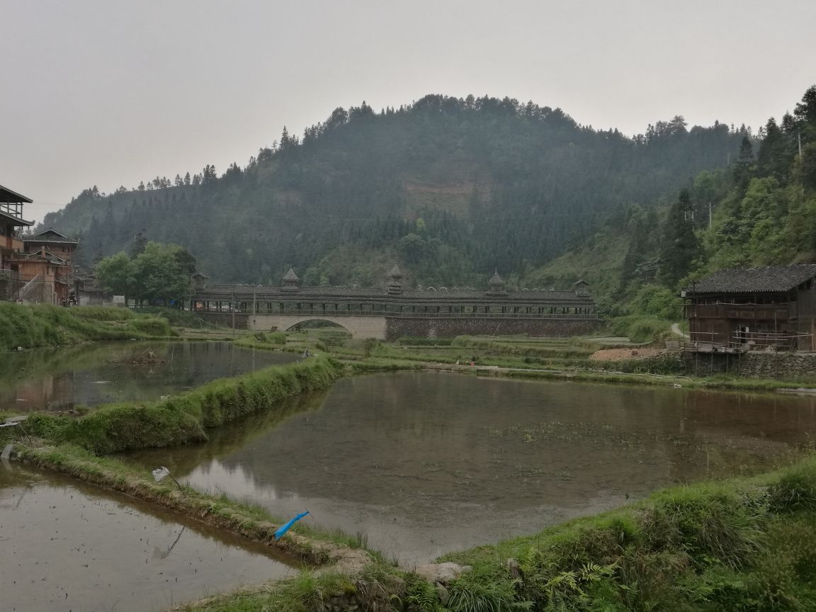 小黃塘村(玉溪紅塔區小石橋鄉小石橋村民委員會下轄村)