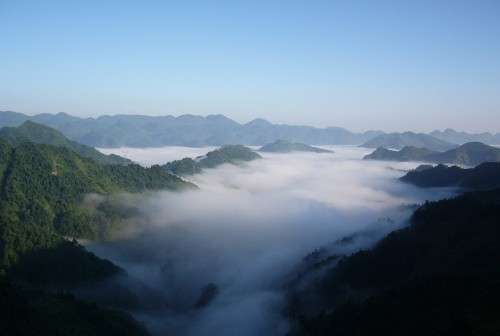 大坂營原始森林景區