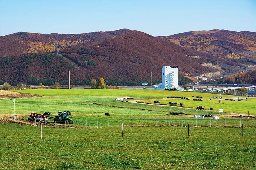 天野森林有機牧場