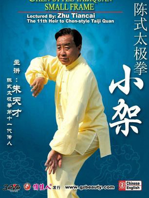 陳式太極拳小架(3DVD)