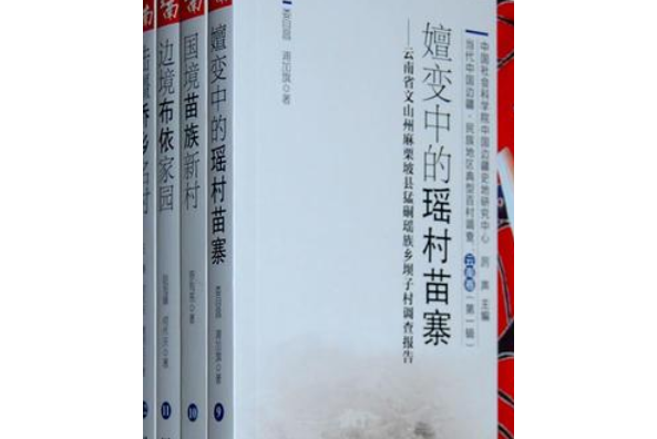 當代中國邊疆·民族地區典型百村調查：雲南卷（第一輯）