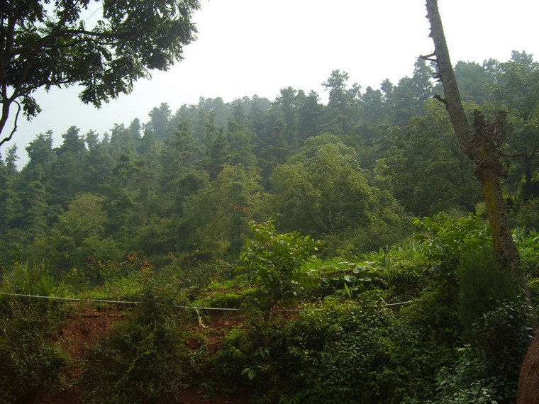 石塘坡村