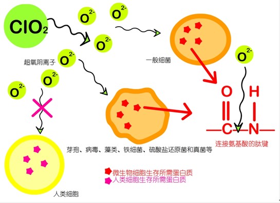 氣觸媒氣體分解圖