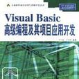 Visual Basic高級編程及其項目套用開發