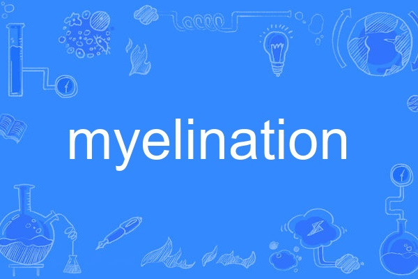 myelination