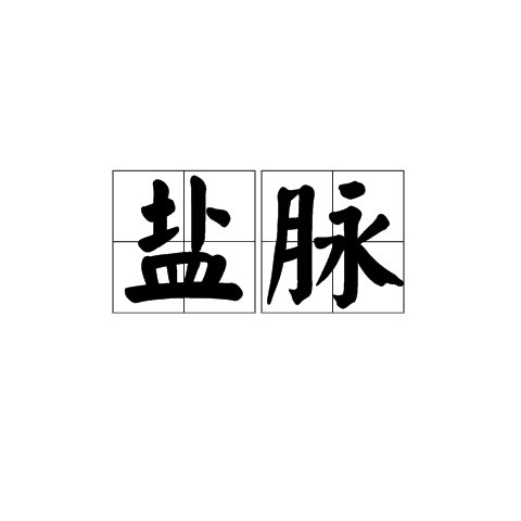 鹽脈(詞語)