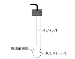 玻璃電極示意圖