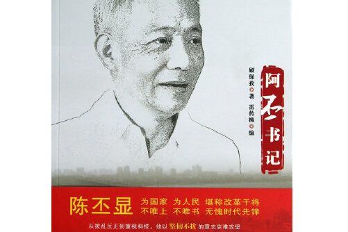 阿丕書記(2013年中國和平出版社出版的圖書)