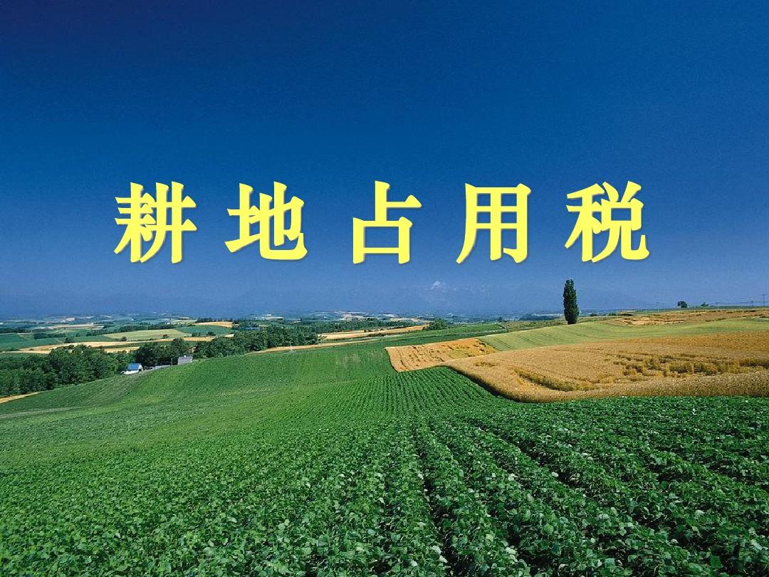 中華人民共和國耕地占用稅法