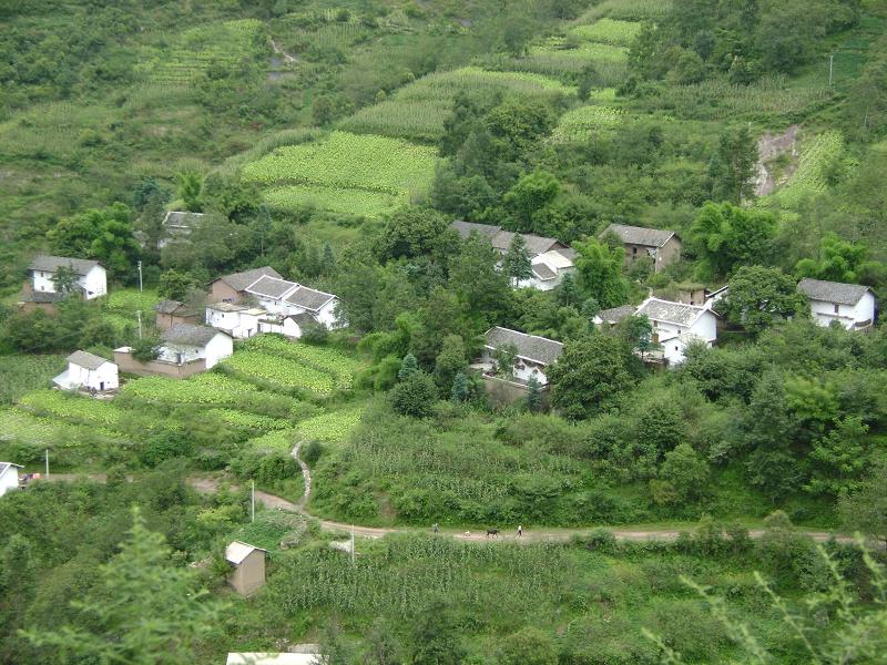 紙廠村(雲南省昭通市巧家縣紅山鄉下轄村)