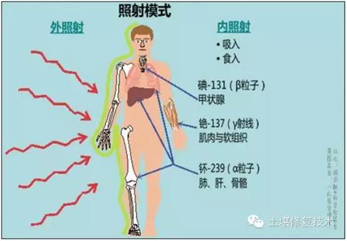 氡氣形成的放射性氣溶膠對人體健康的危害方式