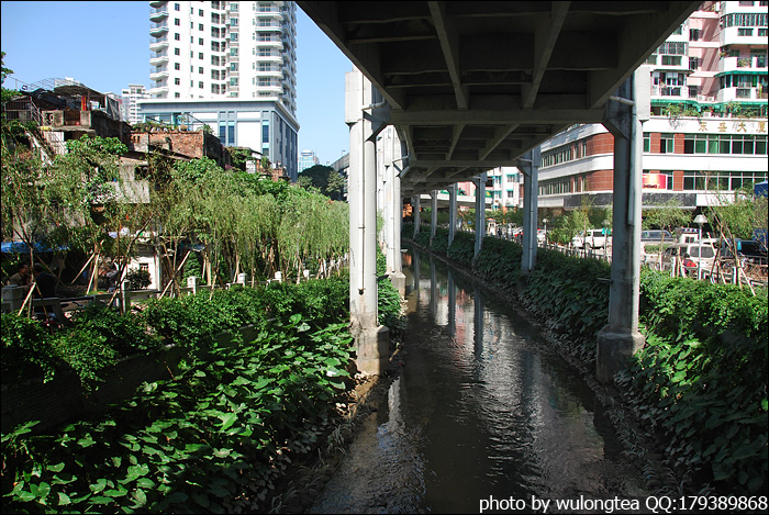 東濠涌