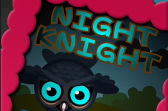 Night Knight