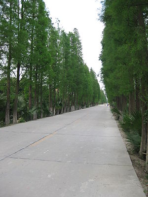 雙公公路