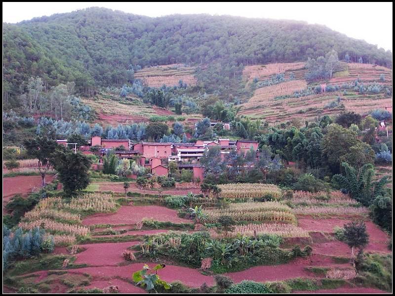 考米田村