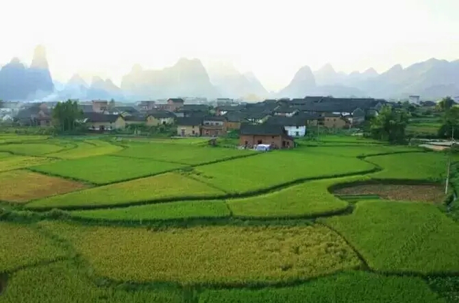 寨上村(廣西柳州市鹿寨縣中渡鎮下轄村)