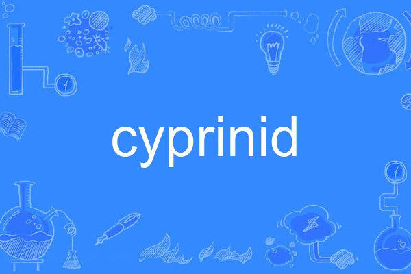 cyprinid