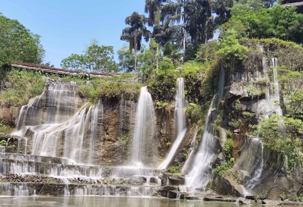 瀘州市植物園