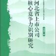 河北省上市公司核心競爭力識別研究