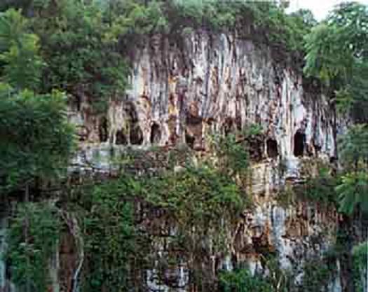 西大山組