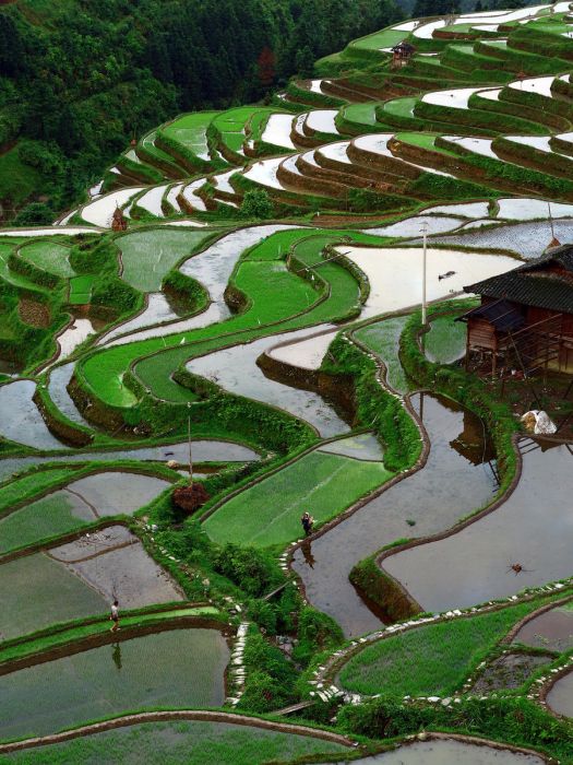 小扭克村