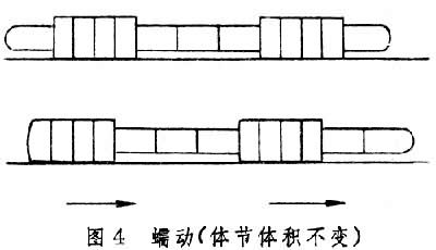 行動(生物學術語)