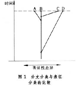 分支分類與表征分類的比較