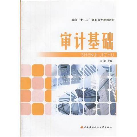 審計基礎(2011年國家開放大學出版社出版的圖書)