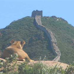 北京八達嶺野生動物世界