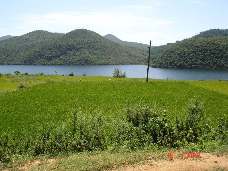 吳里壩村