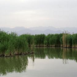 平羅新八景