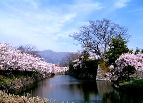 八景島海洋樂園