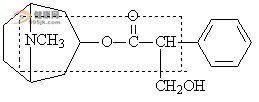 一粒含化消癌療法