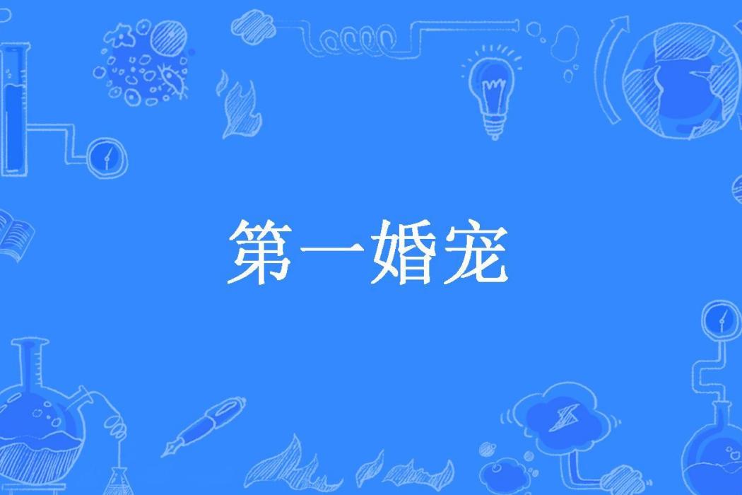 第一婚寵(年初所著小說)