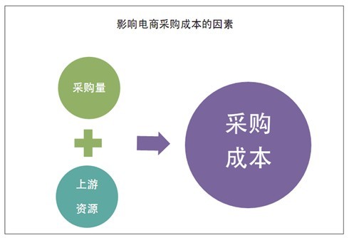 化妝品垂直電商行業白皮書