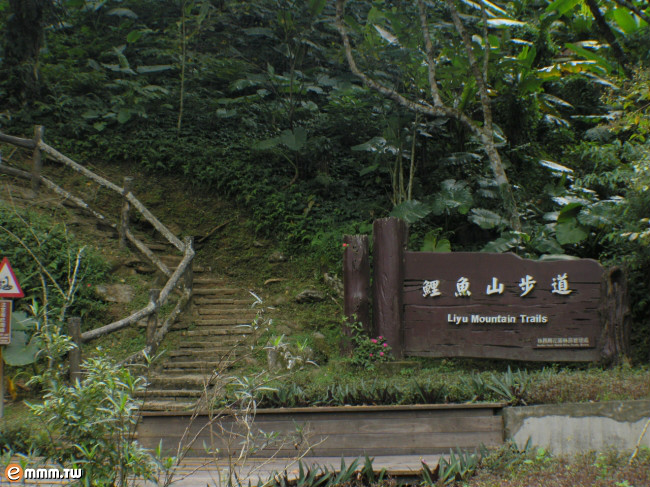 鯉魚山(陝西安康山峰)