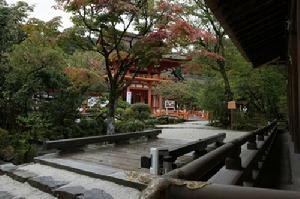 賀茂別雷神社