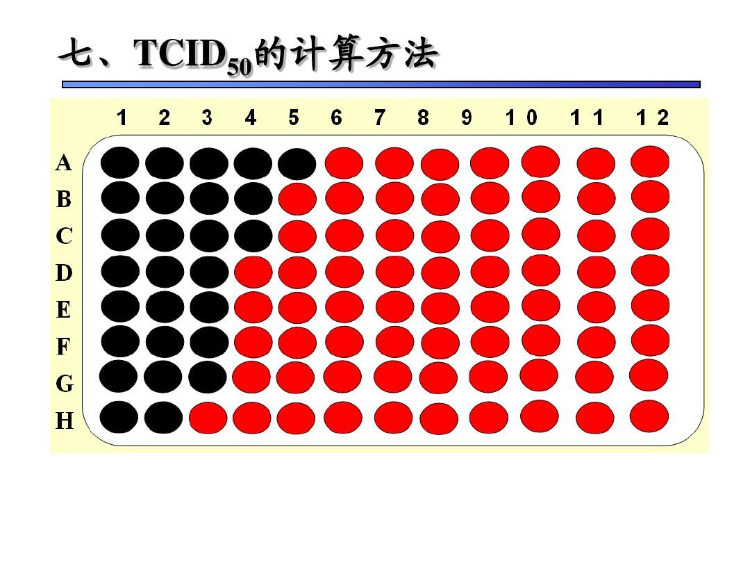 TCID50