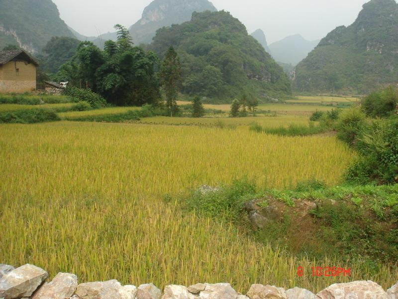 田房村(雲南文山州廣南縣曙光鄉下轄村)