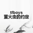 tfboys螢火蟲的約定